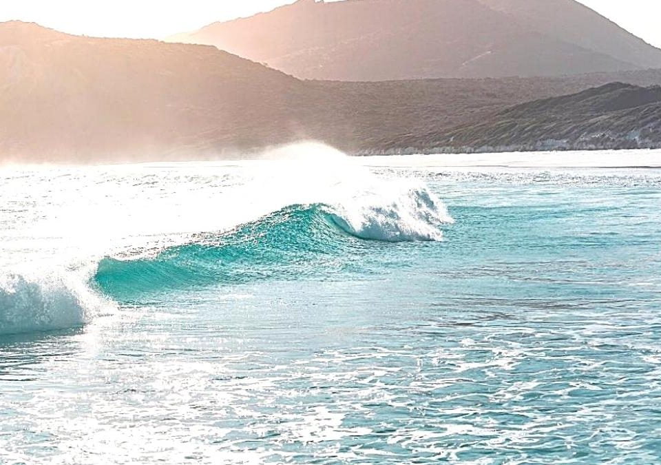 Illustration of ocean waves on bondi beach