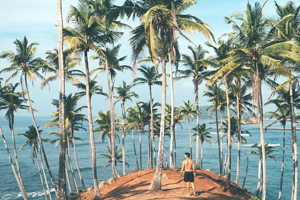 Illustration of airlie beach scene in the daytime