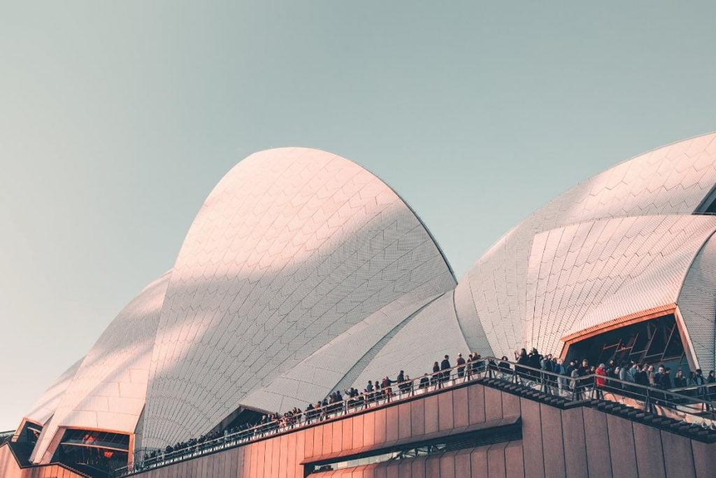 Sydney opera house rooftop view illustration