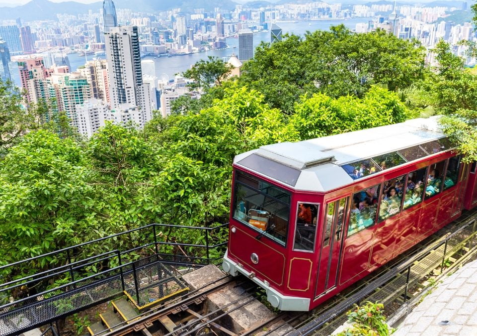 public transportation in brisbane for international students